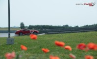 Jastrząb 15 czerwca